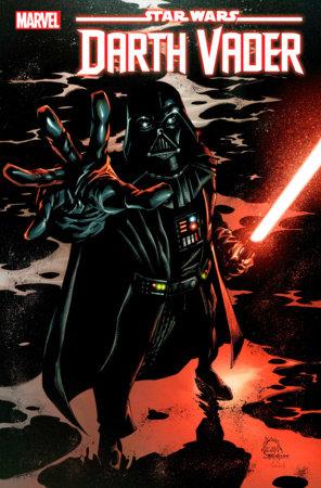 STAR WARS: DARTH VADER 20 - HolyGrail Comix