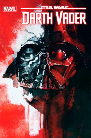 STAR WARS: DARTH VADER 26 MALEEV VARIANT - HolyGrail Comix