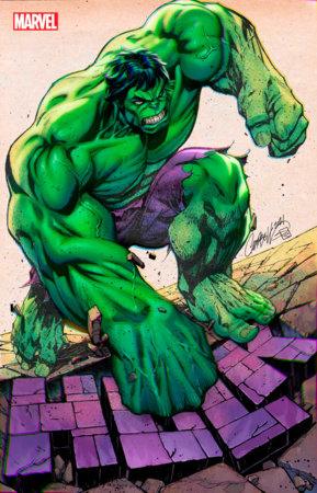HULK 7 JS CAMPBELL VARIANT - HolyGrail Comix