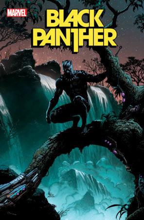 BLACK PANTHER 3 FRANK VARIANT - HolyGrail Comix